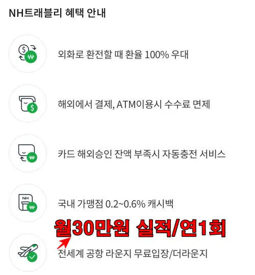 NH트래블리 체크카드