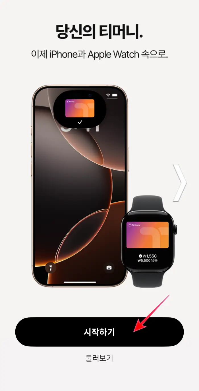 애플 아이폰 티머니 교통카드 등록하기 : 현대카드 없어도 오케 - 헤이디클라우드 IT경제정보