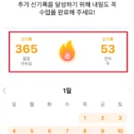 스피1년사용후기